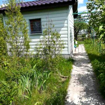 Продам приватизированная дачу