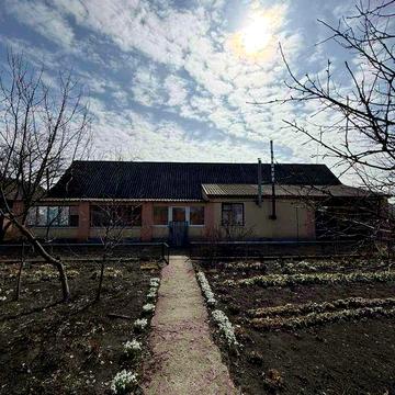 Просторий будинок у Шишаках: 14 соток, гараж, комунікації та капітальний паркан!