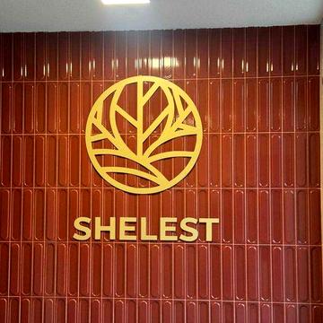 1-кімнатна квартира у клубному будинку Shelest ЖК Shelest