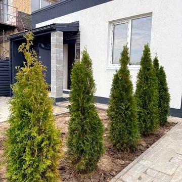 Продаж таунхаусу в Гостомелі на етапі будівництва