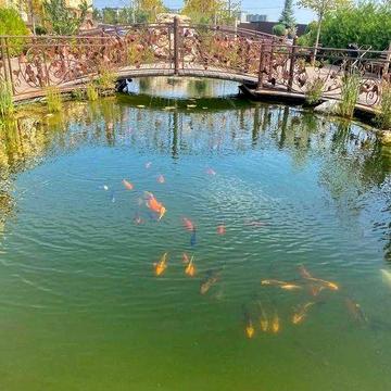 3К квартира ЖК Львівський Затишок Є-Оселя/Відновлення/Постанова