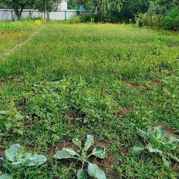 Продам дачу в селі Фурси СК Джерело