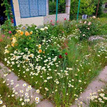 Дача для відпочинку