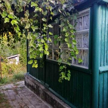 Затишна дача на 7 сотках – ідеальне місце для відпочинку