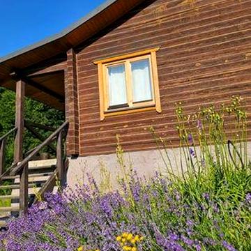 Продаж будинок (дача) Давидківці