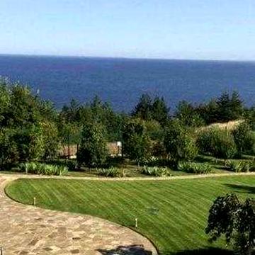 Оренда будинку Нові Петрівці