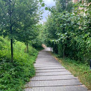 Здам квартиру ЖК «Чайка», новий гарний ремонт.