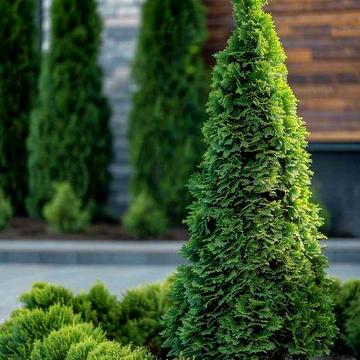 Продаж будинку на Маразліївській парк Шевченко