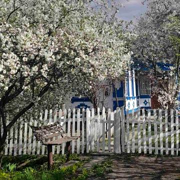 Продам будинок в селі Сигнаївка