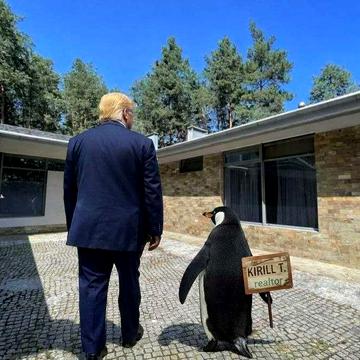 Аренда Дома 4к 350м2 20 соток Песчанка до Днепра 20 километров