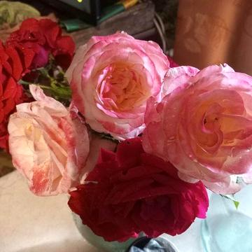 Здам хату на довгий срок