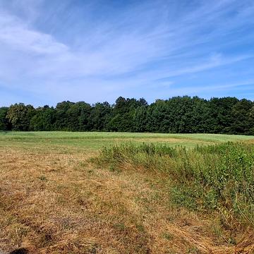 Бірки, Яворівський, Львівська область 81000.0 USD