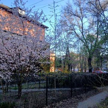 75/45/15 продам 65000