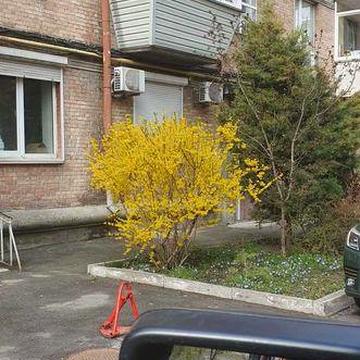 Однокомнатная  Сталинка Печерск Зверинецкая 40м