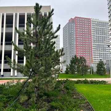 Варшавський 3 Київ Продаж 1к квартира Генератор Укриття буд 10.5 - введення 2 квартал 2026 Вікна у двір ЖК Варшавський 3