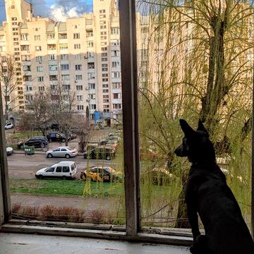 Здам квартиру недорого