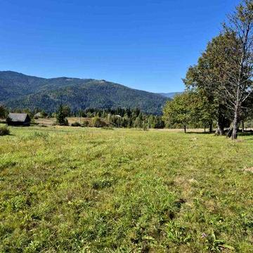 Продається будинок та 22 сотин 60 тис Микуличин (Карпати Буковель)