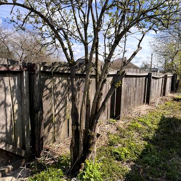 Продаю будинок в селі