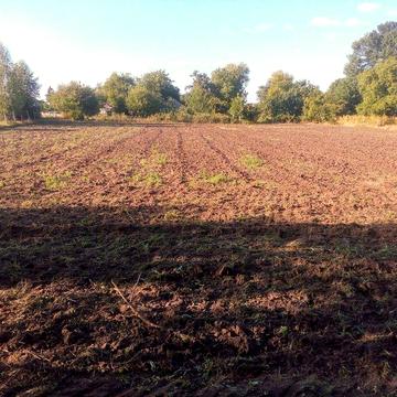 Господарство 70 сотих землі для життя і під бізнес(під будь які держав