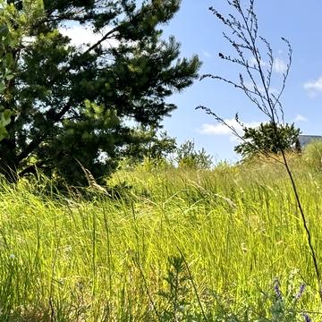 Ентузіастів