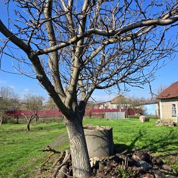 Продам дачу в селі