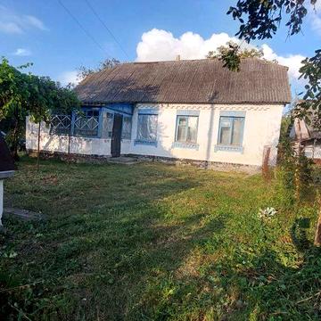 Продам будинок в селі Тростинська Новоселиця Білоцерківський район Київська обл