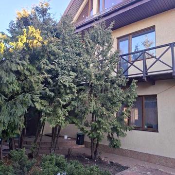 Великий будинок. Від власника