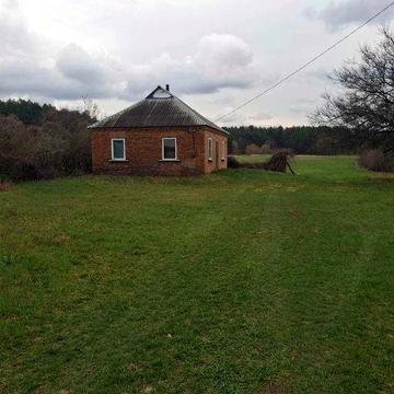 Будинок на околиці села біля хвойного лісу