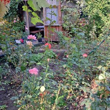 Продається дача в селі Марʼянівка (13 000$)