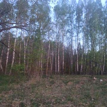 Будиночок в тихому затишному місці