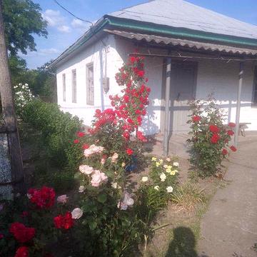 Продається будинок. Саврань. Центр