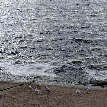 Сдам свою 2-комн.кв.