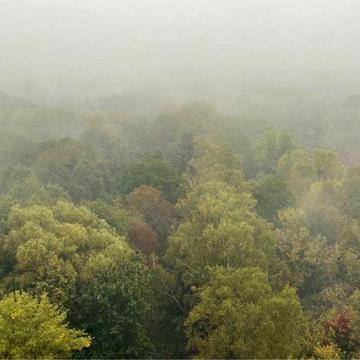 Аренда від власника, однокімнатна, Глушкова 9є