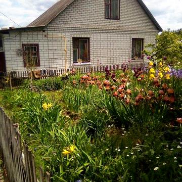 Продам будинок в селі Дмитрівка