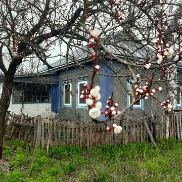 Здам у довготривалу  оренду будинок 55 км від Києва без викупу