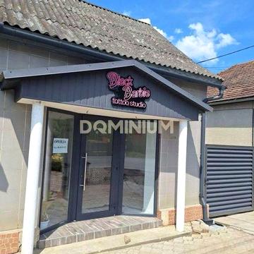 Продається житловий будинок з комерційними приміщеннями в м.Виноградів