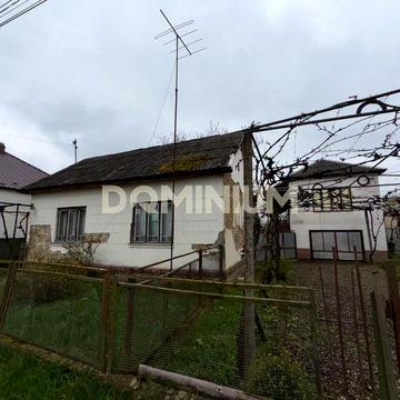 Продається два житлові будинки у с.Фанчиково,Закарпаття