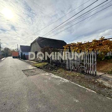 Продаж будинку в центрі Виноградова