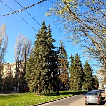 Сдам уютную 1-комнатную квартиру (35 м²) на пр. Науки (Гагарина), тихий двор.