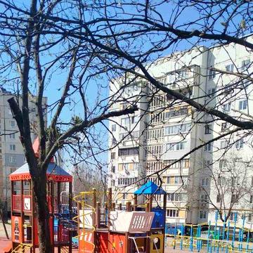 Здам 1 квартиру на Салтівці,вул.Широнінців,125