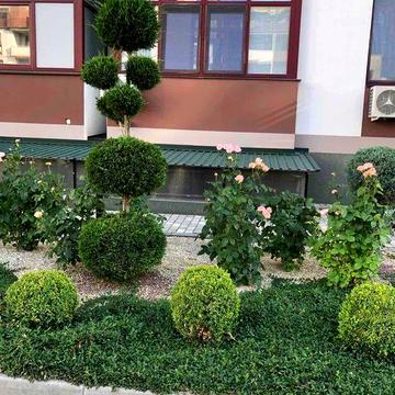 Одеса квартира студія ЖК Смарт Сити ЖК СМАРТ СИТИ