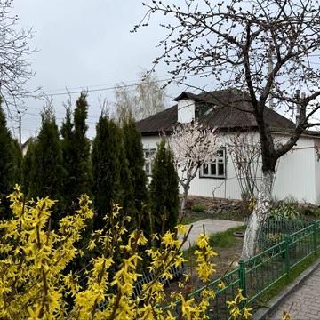 Довгострокова оренда будинку від власника