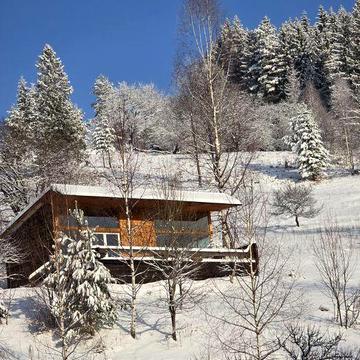 Будинок в Карпатах