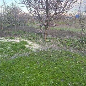 Продам дом без аренды