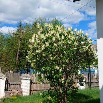 Дом з усiма комунiкацiями Овруч  Першотравневе