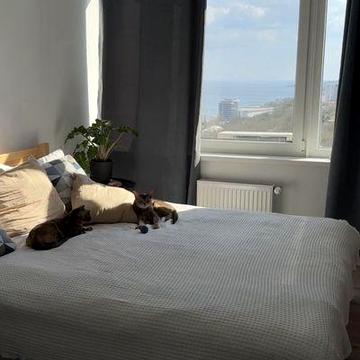 Сдам квартиру в аренду с паркоместом