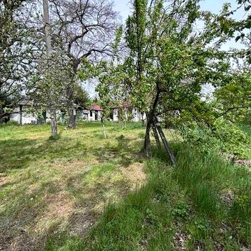 Земля з будиночком загальною площею 0,6га, від Києва 50км