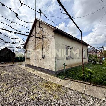 Продається затишний будинок із великою ділянкою в Підвиноградові