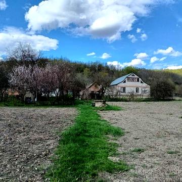 Здам в оренду будинок з ділянкою, с. Городище.