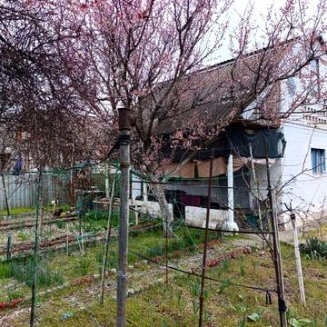 Продаю дачний будинок